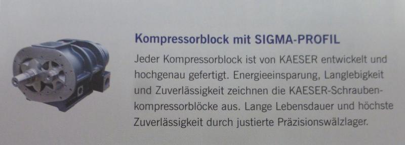Kompressorblock, Druckstufe, Schraubenverdichter für Schraubenkompressor