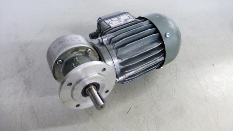 Getriebemotor mit Winkelgetriebe, Elektromotor