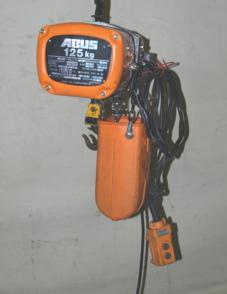 E-Kettenzug, Elektro Hubwerk, Kran 125 kg mit Feinhub