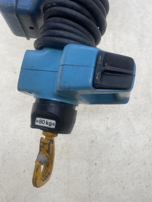 E-Kettenzug, Elektro Hubwerk, Kran 80 kg mit Manulift Steuerung