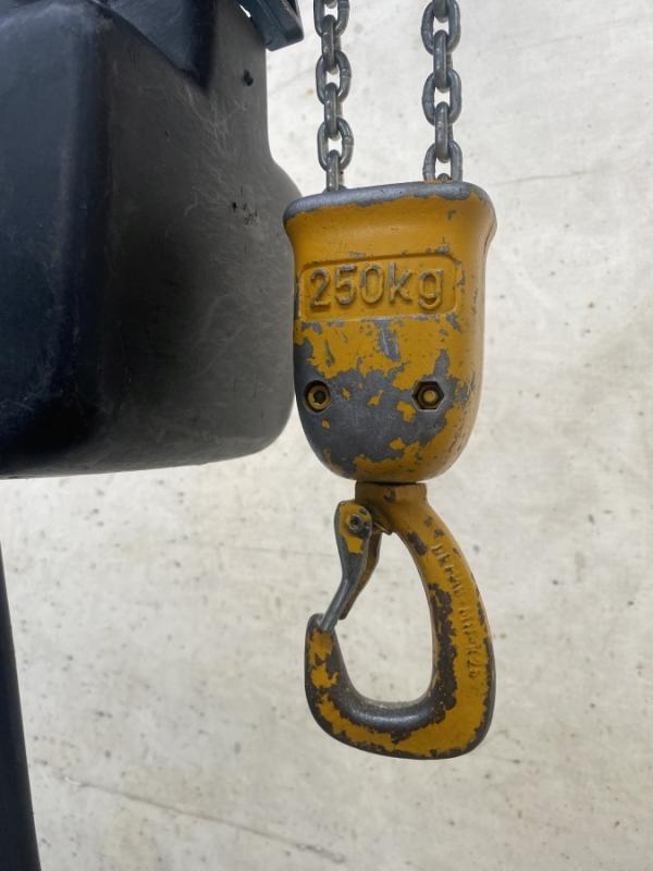 E-Kettenzug, Elektro Hubwerk, Kran 250 kg