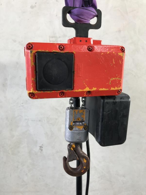 E-Kettenzug, Elektro Hubwerk, Kran 250 kg