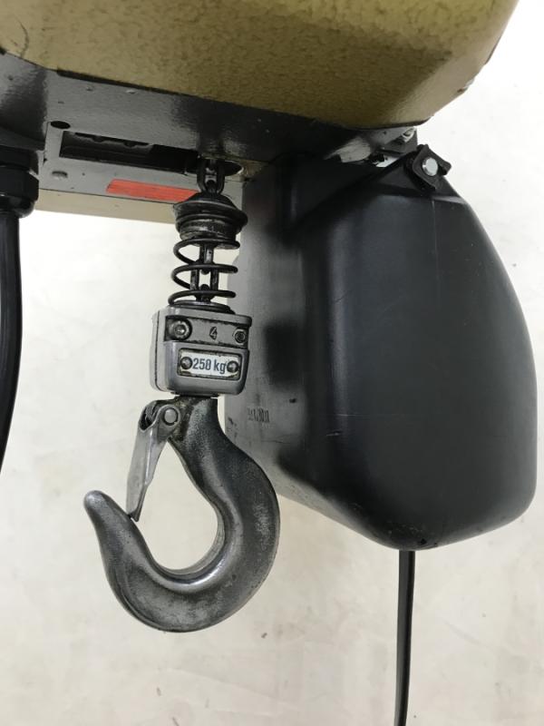 E-Kettenzug, Elektro Hubwerk, Kran mit Feinhub 250 kg