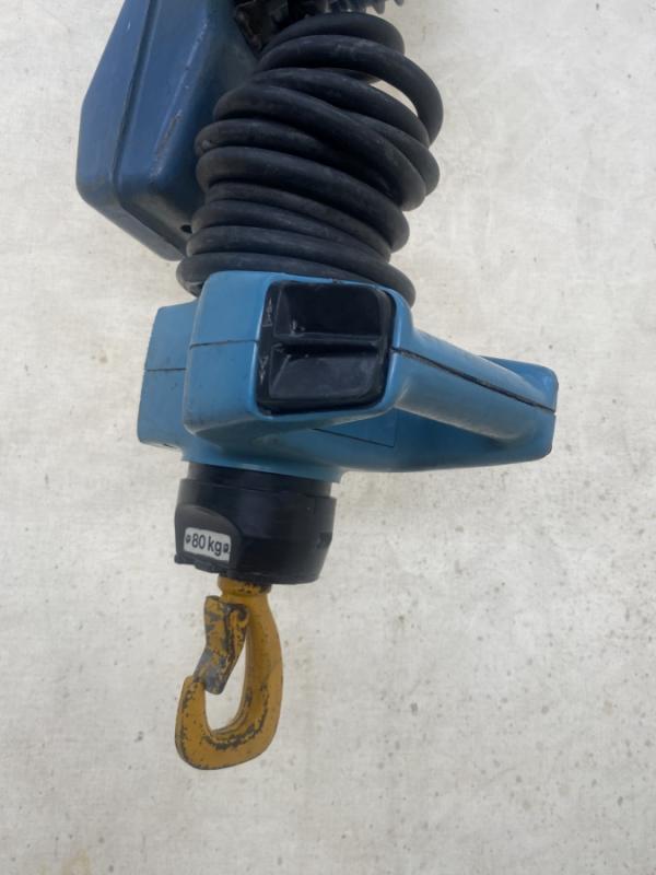 E-Kettenzug, Elektro Hubwerk, Kran 80 kg mit Manulift Steuerung