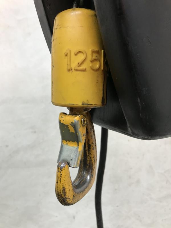 E-Kettenzug, Elektro Hubwerk, Kran 125 kg
