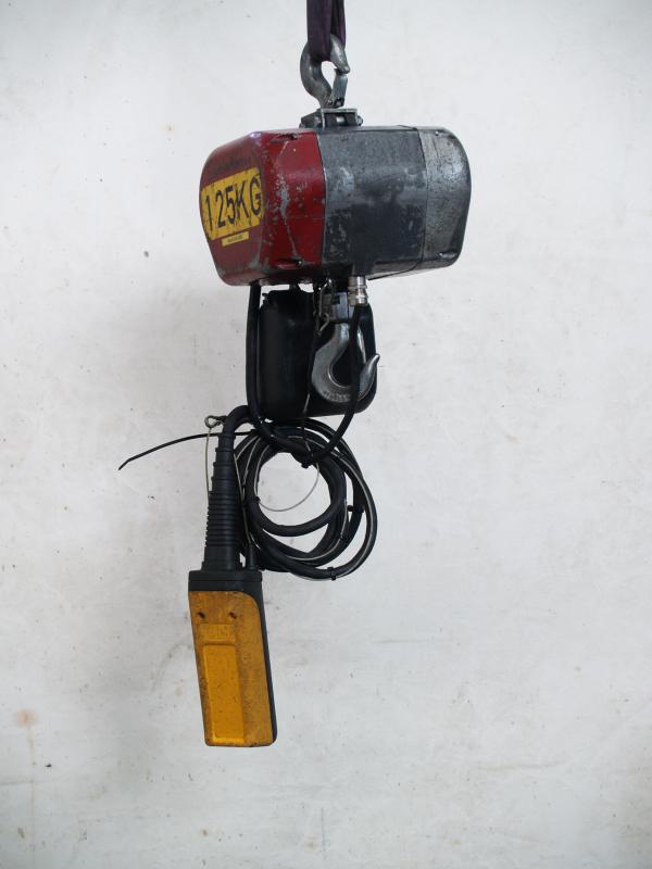 E-Kettenzug, Elektro Hubwerk, Kran 125 kg